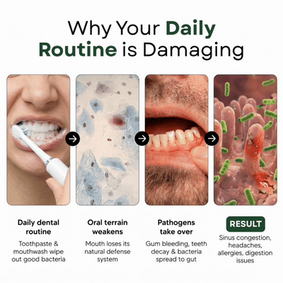The OraVance Oral Probiotics