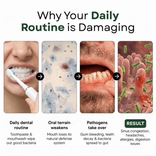 The OraVance Oral Probiotics