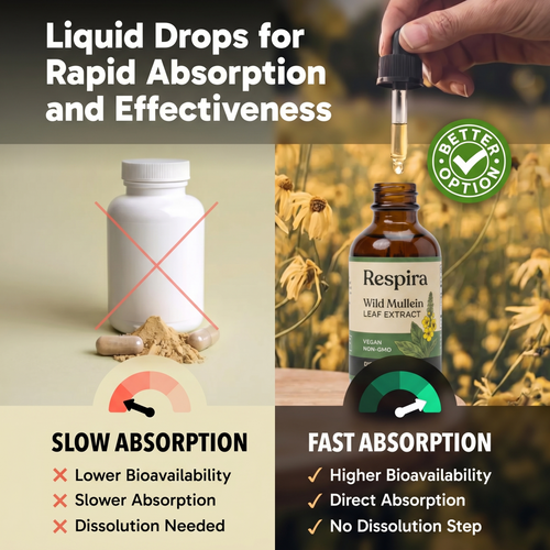 Respira Mullein Extract