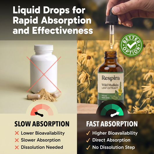 Respira Mullein Extract