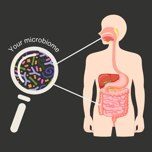 Targets Your Mouth AND Your Gut Together