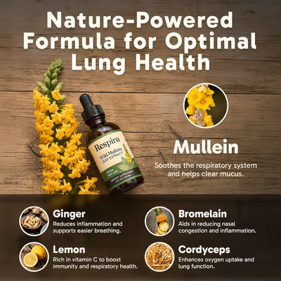 Respira Mullein Extract