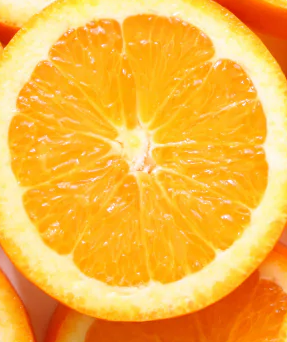 Vitamin Complex (C+E+B Family)